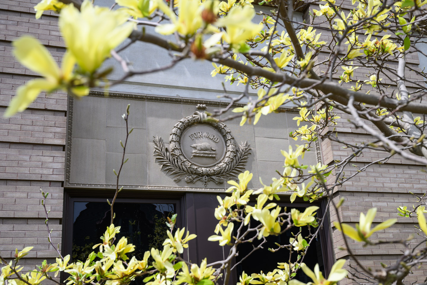 Fascade of campus building with Forward and Badger iconography